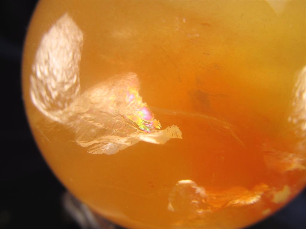 イエローラビットファー