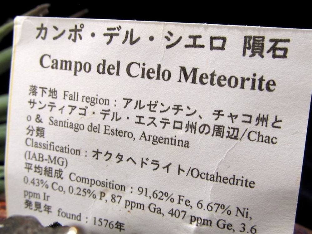 カンポ・デル・シエロ ペンダントトップ アルゼンチン共和国チャコ州産 メテオライト 鉄質隕石