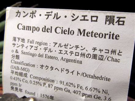 カンポ・デル・シエロ ペンダントトップ アルゼンチン共和国チャコ州産 メテオライト 鉄質隕石