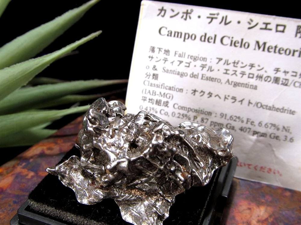 カンポ・デル・シエロ ペンダントトップ アルゼンチン共和国チャコ州産 メテオライト 鉄質隕石