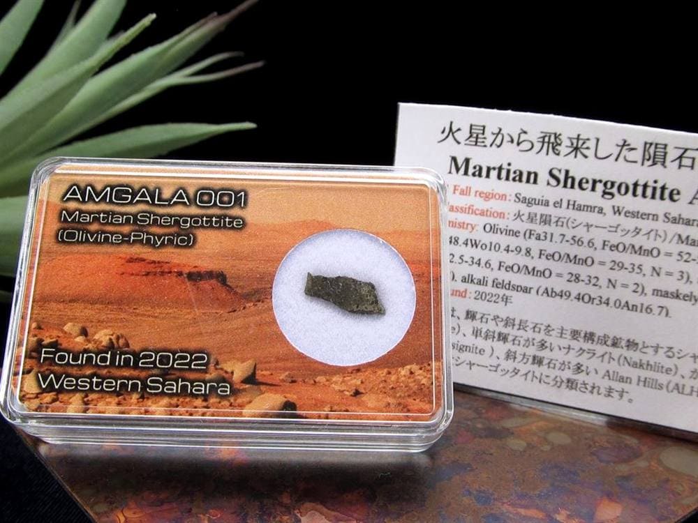 火星の石 隕石 火星隕石 メテオライト