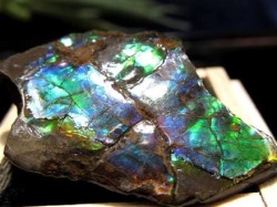 パワーストーン・天然石の卸問屋｜World Stone