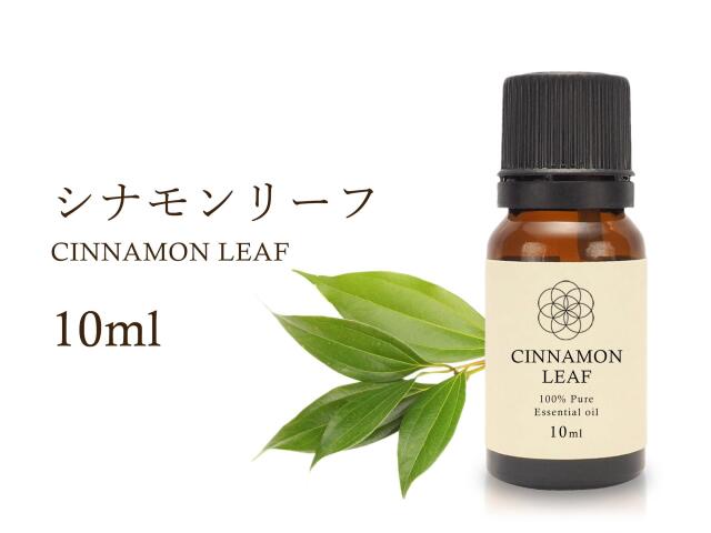 シナモンリーフ エッセンシャルオイル10ml