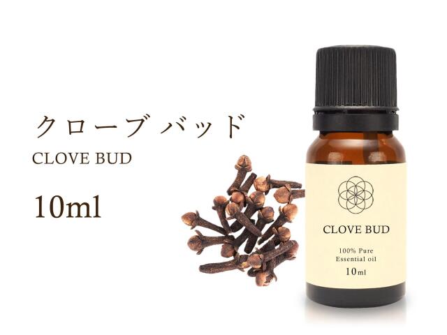 クローブバッド エッセンシャルオイル10ml