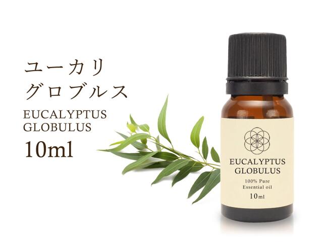 ユーカリ グロブルス エッセンシャルオイル10ml