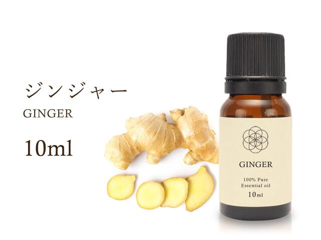 ジンジャー エッセンシャルオイル10ml