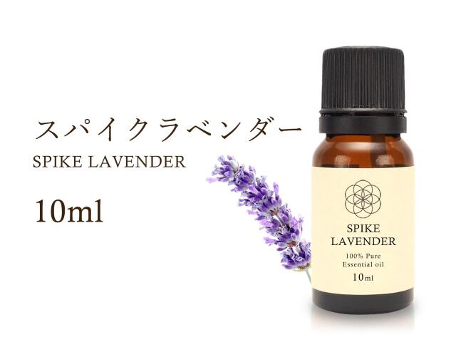 スパイクラベンダー エッセンシャルオイル10ml