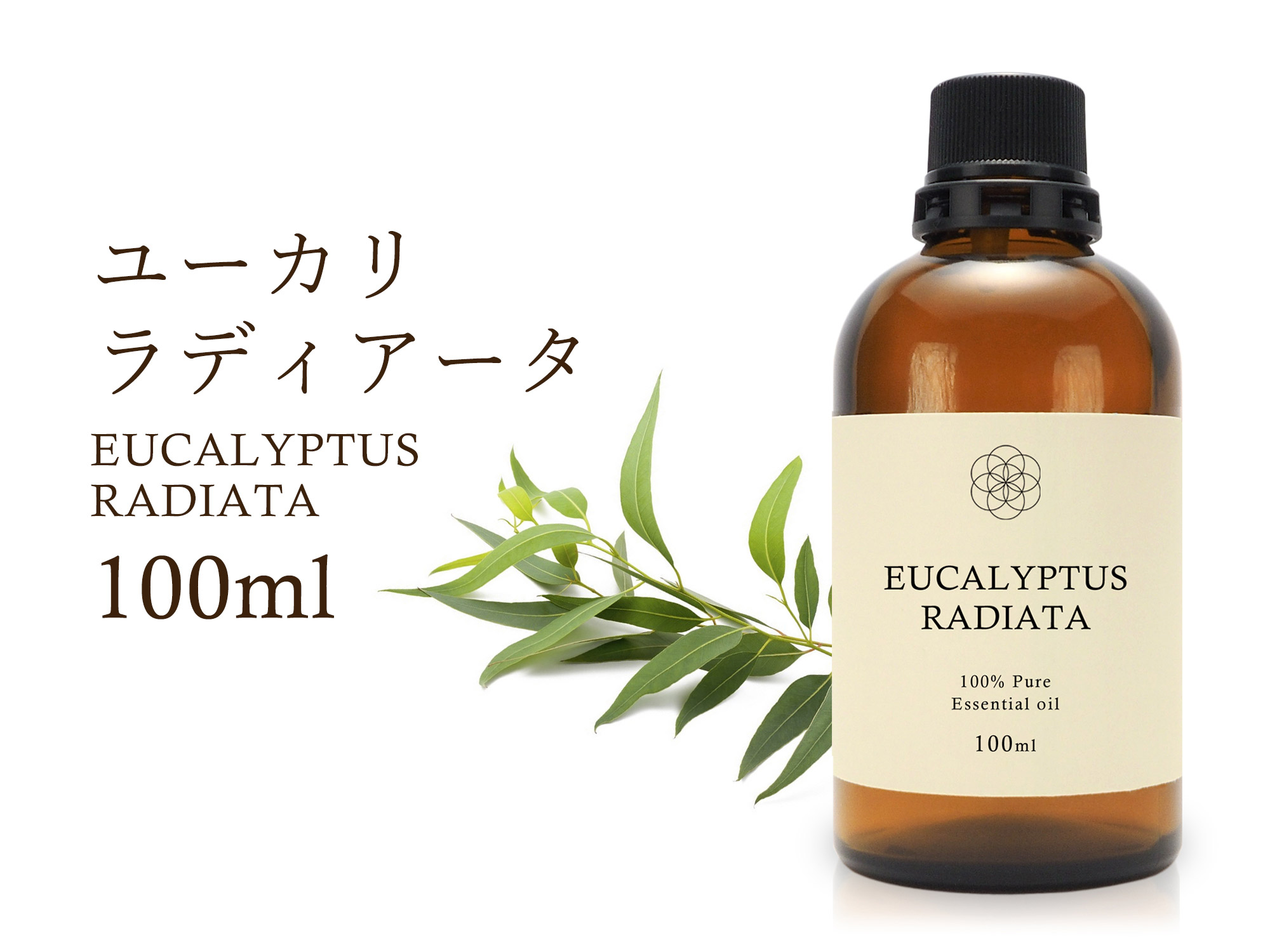 ユーカリ・ラディアータオイル 1000ml 生活の木 精油